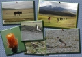 andes, amazon, wildlife, ecuad-19